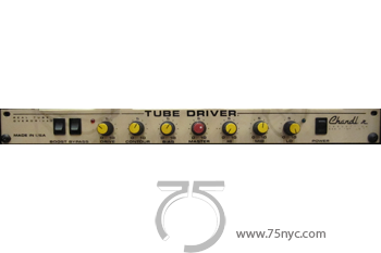 Enlarged view of image